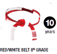 Jiu jitsu red white Belt