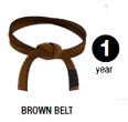 Jiu jitsu brown Belt
