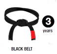 Jiu jitsu black Belt