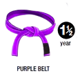 Jiu jitsu the purple Belt
