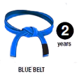 Jiu jitsu the blue Belt